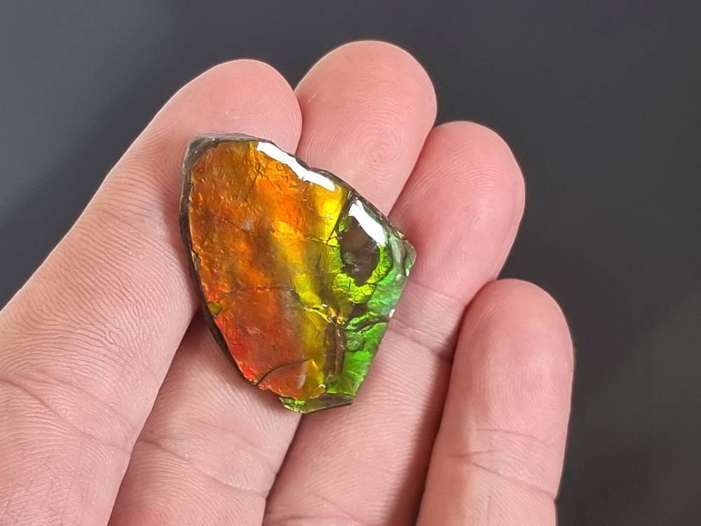 9am) Ammolite Crystal Gemstone