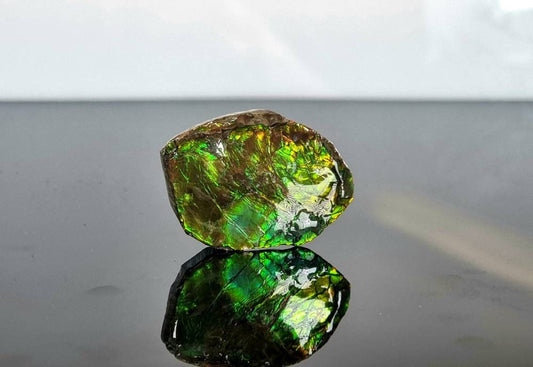 Large Ammolite Crystal Gemstone Canada ~ Opal Ammonite Fossil