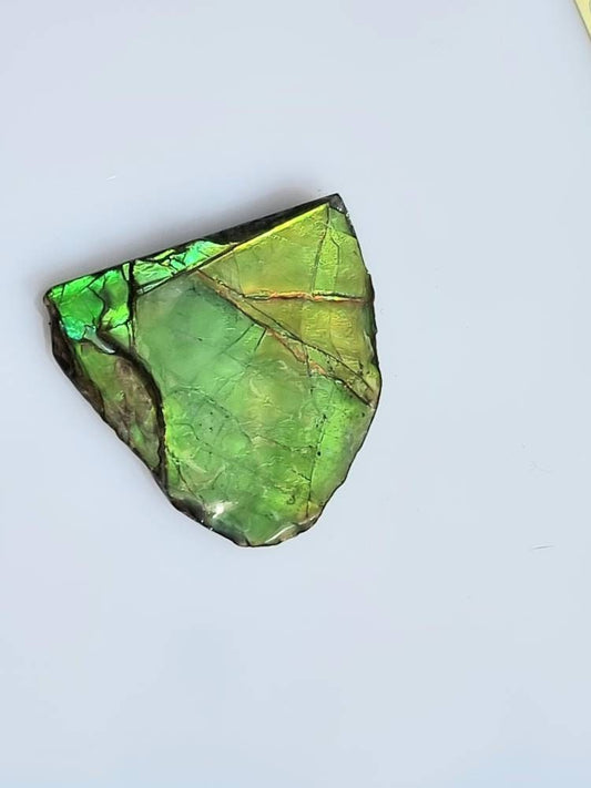 Large Ammolite Crystal Gemstone Canada ~ Opal Ammonite Fossil