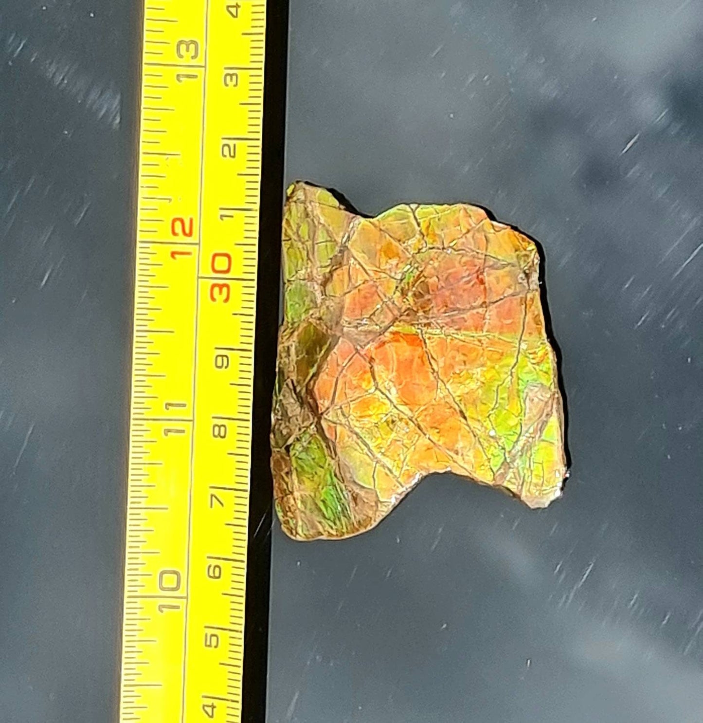 20a) Ammolite Crystal Gemstone