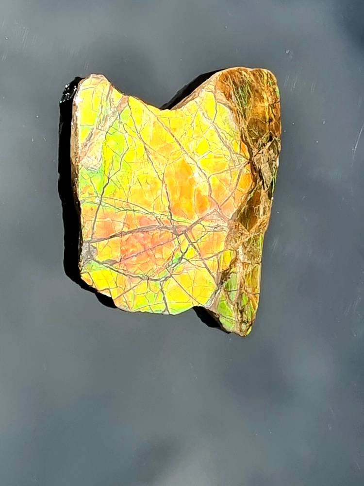 20a) Ammolite Crystal Gemstone