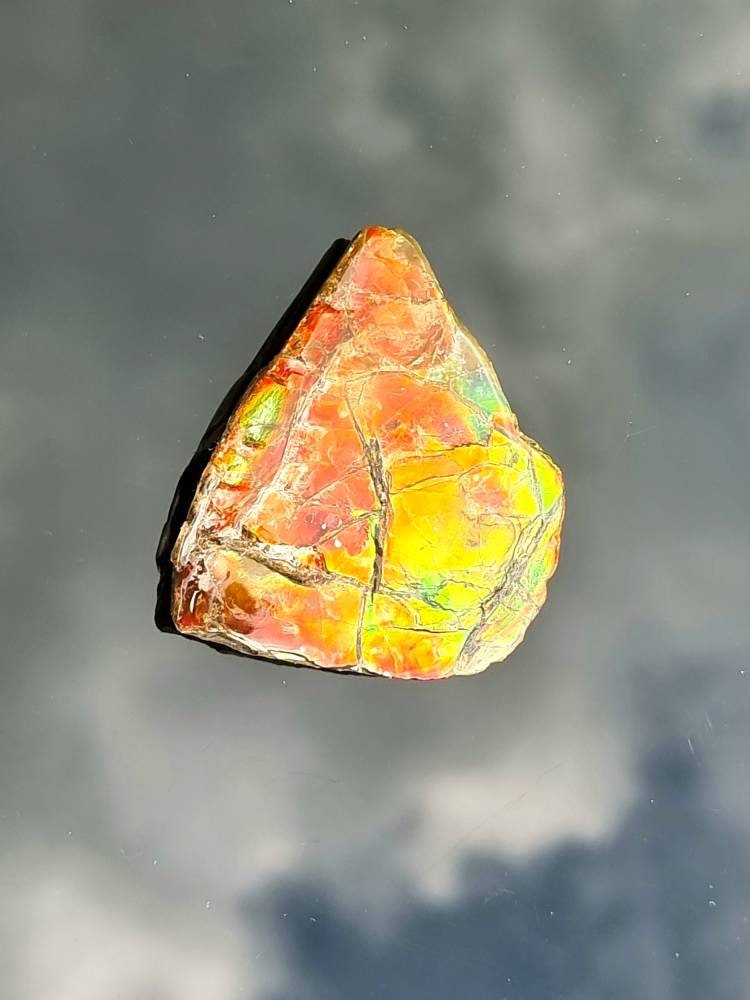 Large Ammolite Crystal Gemstone Canada ~ Opal Ammonite Fossil