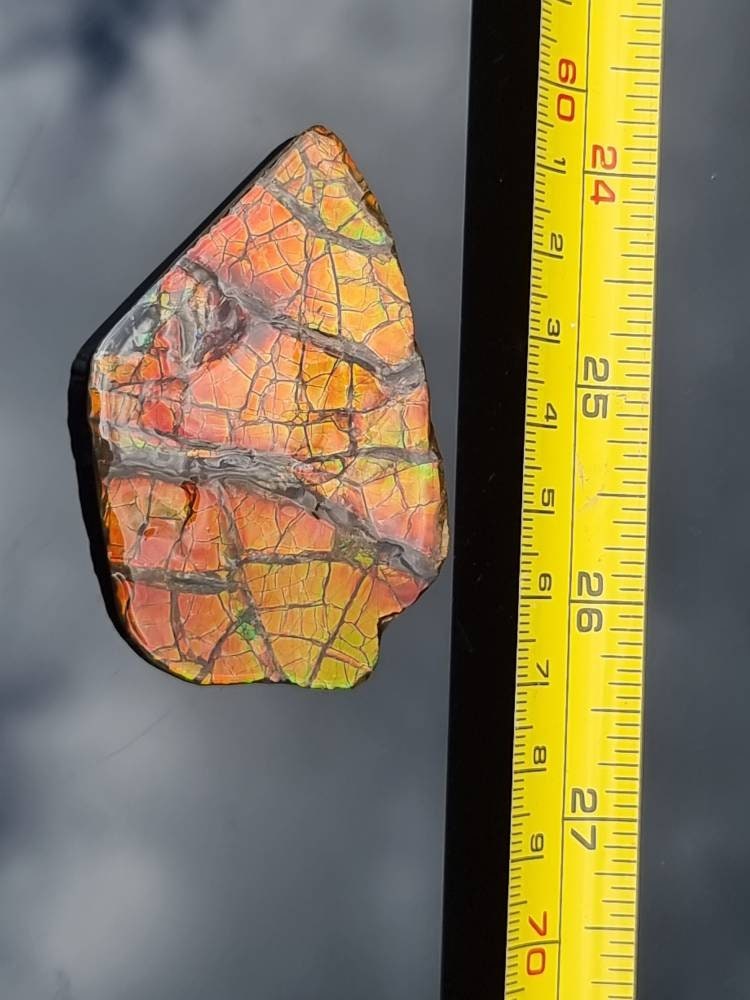 14a) Ammolite Crystal Gemstone