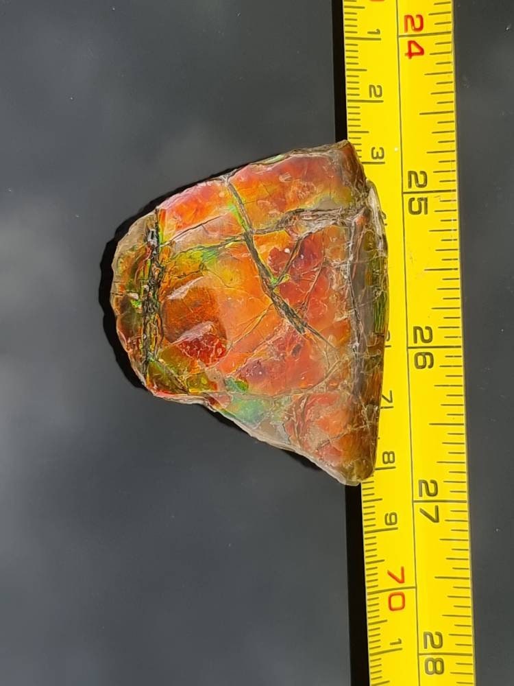 15a) Ammolite Crystal Gemstone