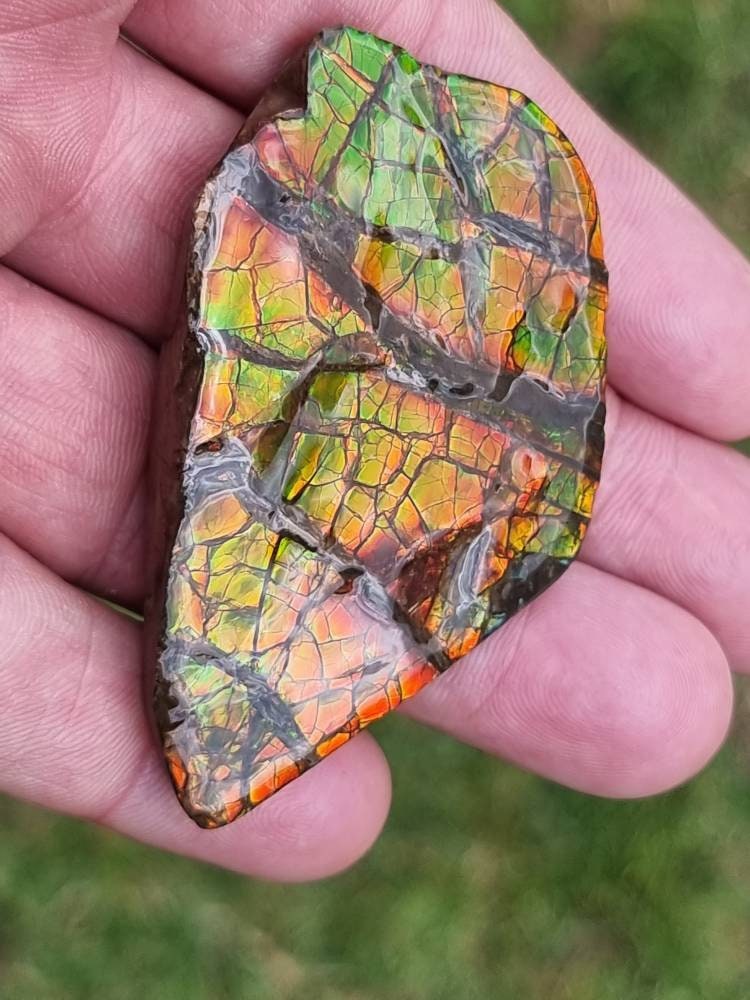 14a) Ammolite Crystal Gemstone