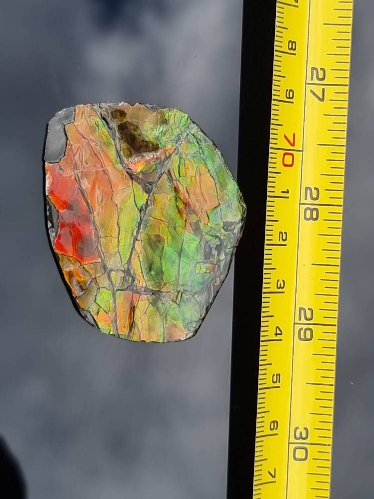 13a) Ammolite Crystal Gemstone