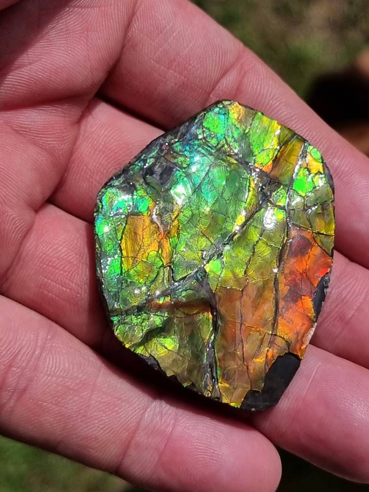 13a) Ammolite Crystal Gemstone