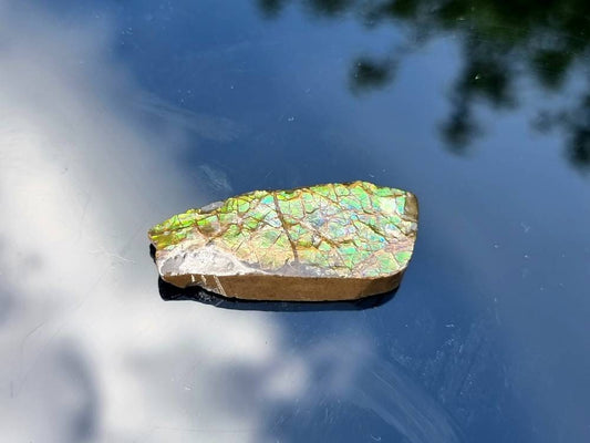  Large Ammolite Crystal Gemstone