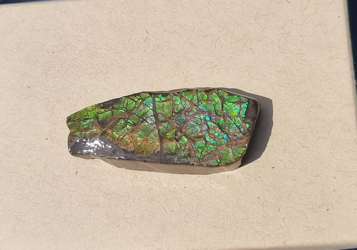 22) Ammolite Crystal Gemstone