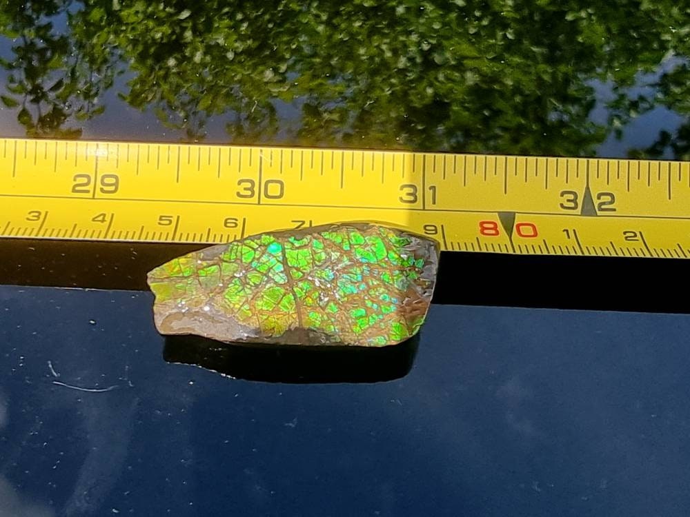 22) Ammolite Crystal Gemstone