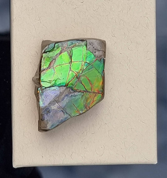 17) Ammolite Crystal Gemstone