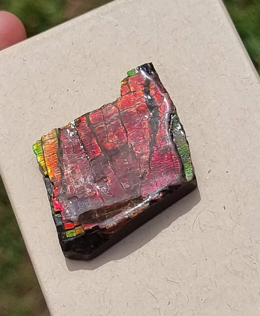 16) Ammolite Crystal Gemstone