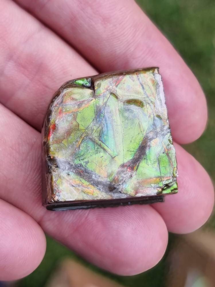 15) Ammolite Crystal Gemstone