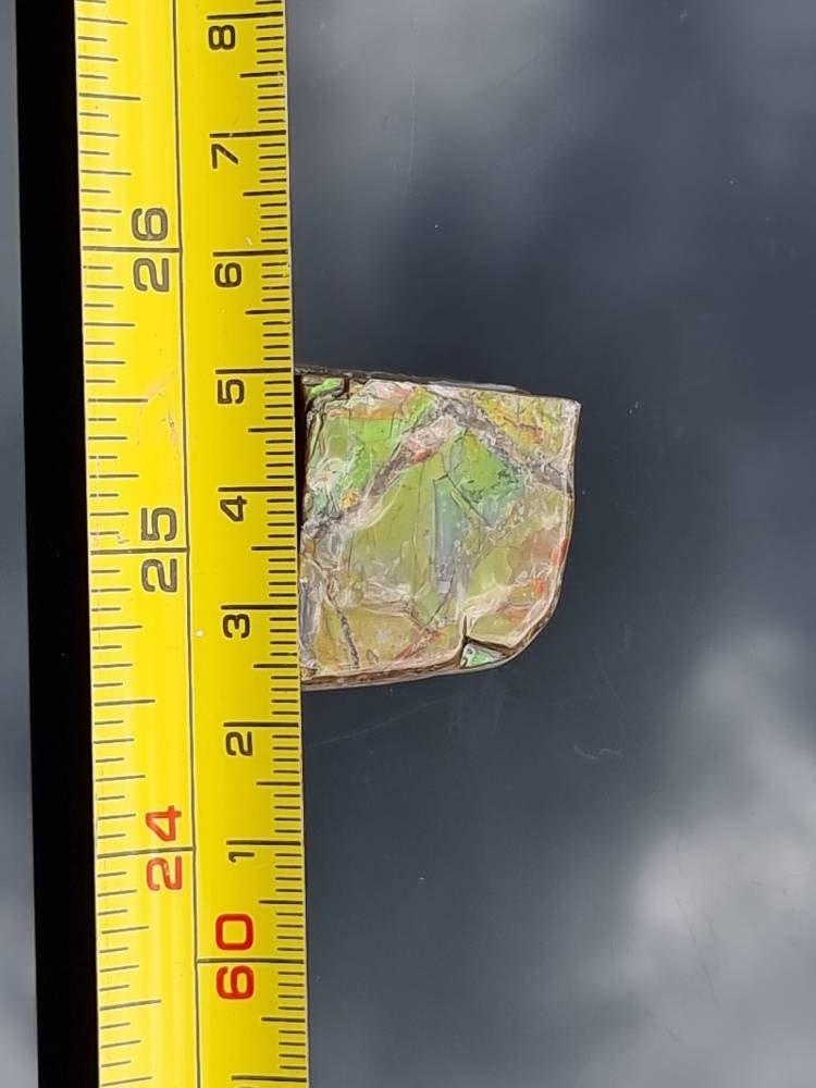 15) Ammolite Crystal Gemstone