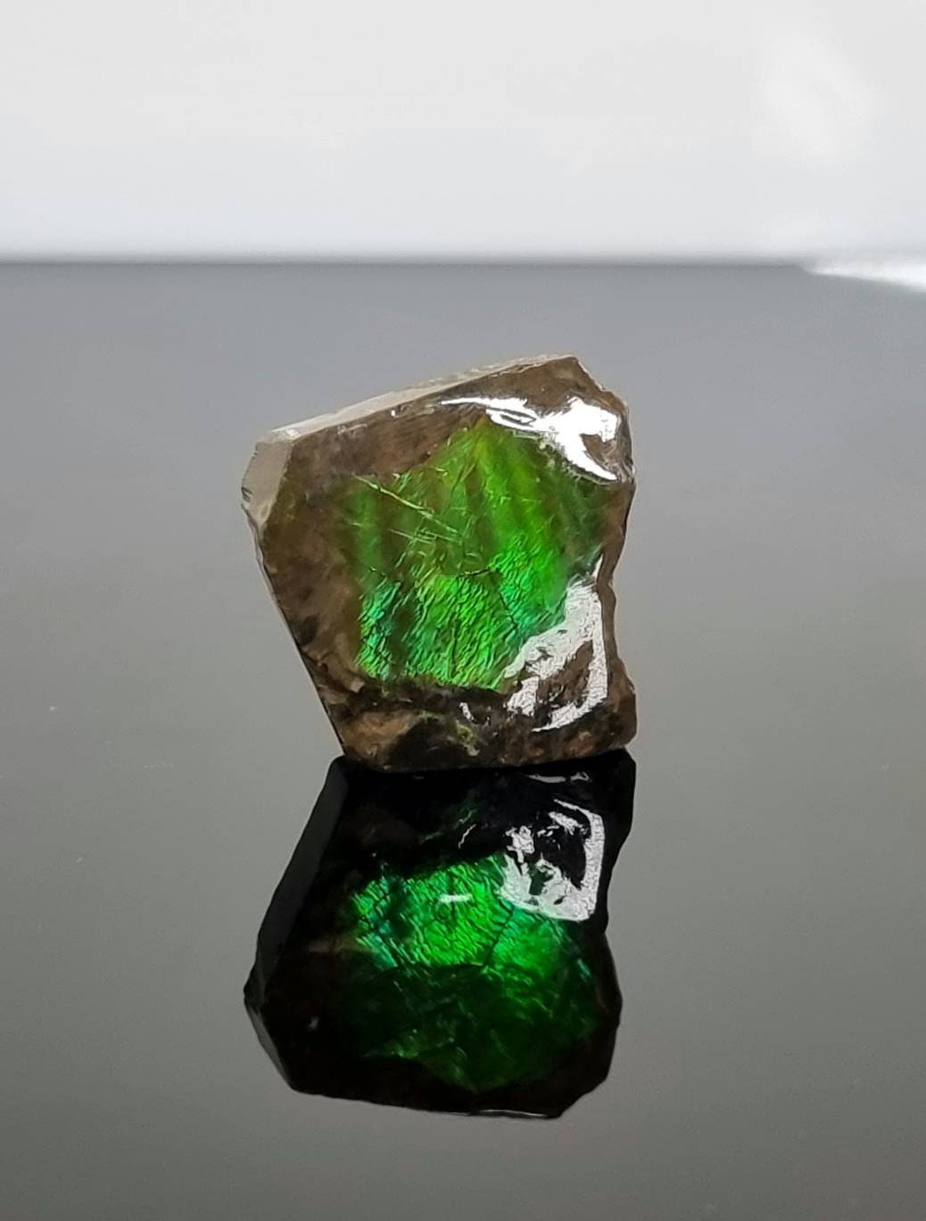 Ammolite Crystal Gemstone