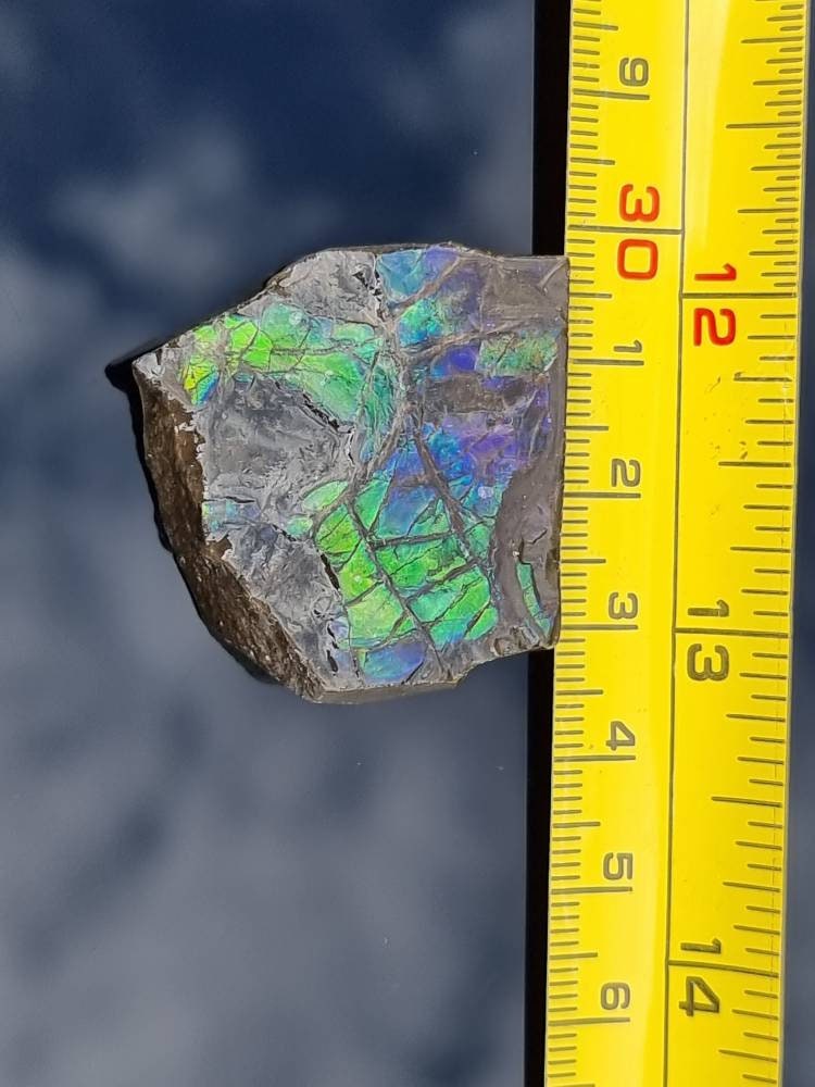 12) Ammolite Crystal Gemstone