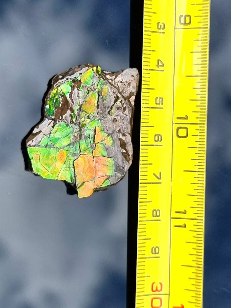 23) Ammolite Crystal Gemstone