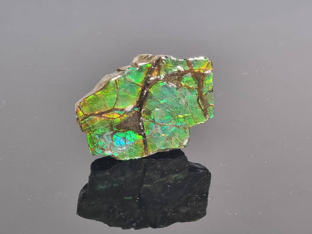  Large Ammolite Crystal Gemstone