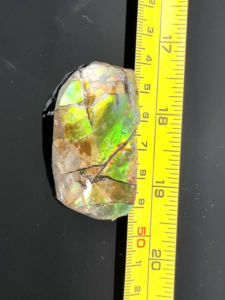 10a) Ammolite Crystal Gemstone