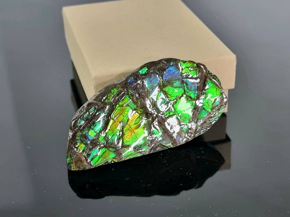  Large Ammolite Crystal Gemstone