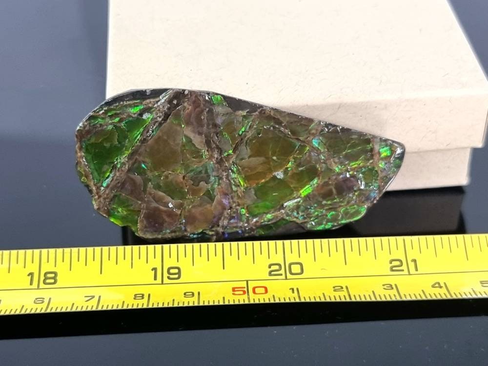 5a) Ammolite Crystal Gemstone