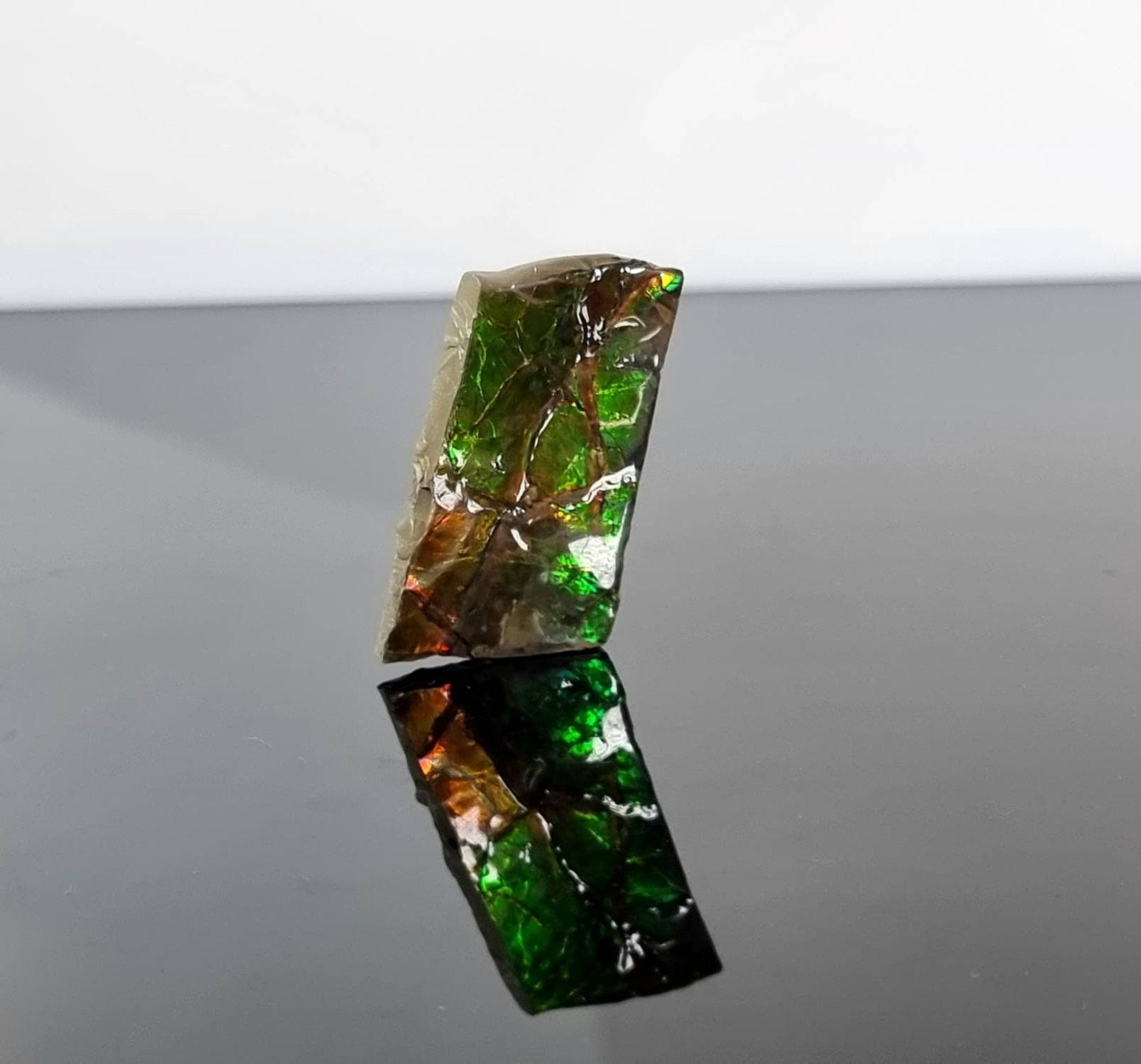  Large Ammolite Crystal Gemstone