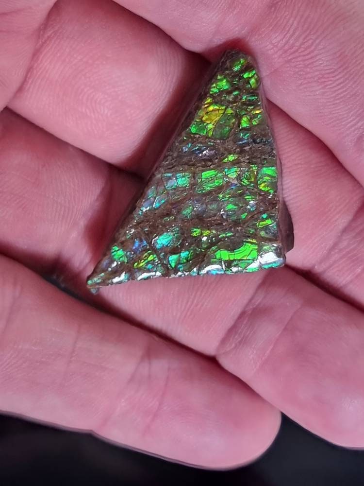 10) Ammolite Crystal Gemstone