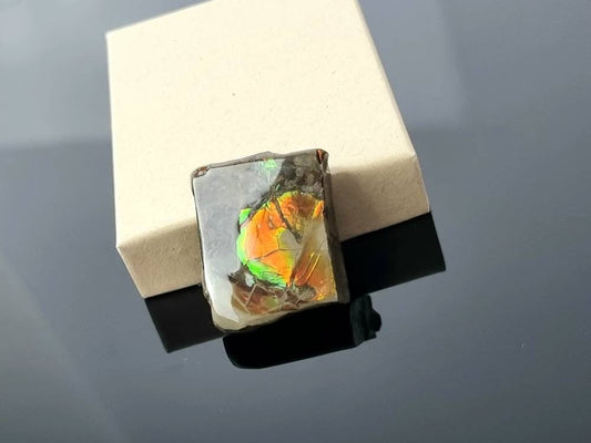  Large Ammolite Crystal Gemstone