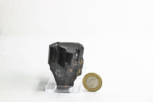 16) Terminated Black Tourmaline Crystal Natural