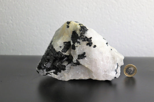 6) Large Black Tourmaline Crystal In Quartz -  Tourmalated Quartz