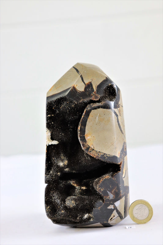 15) Large Septarian Dragon Stone Calcite Crystal Obelisk Point  / Unique Home Decor