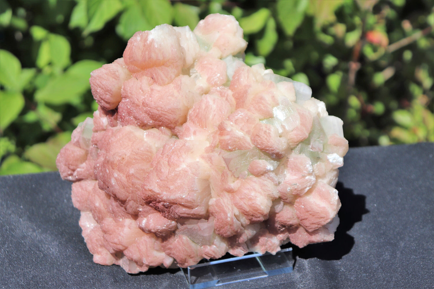 Extra Large Stilbite  & Apophyllite Zeolite Crystal