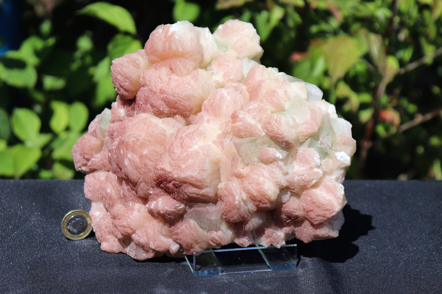 15) Extra Large Stilbite  & Apophyllite Zeolite Crystal  - India  2 KG