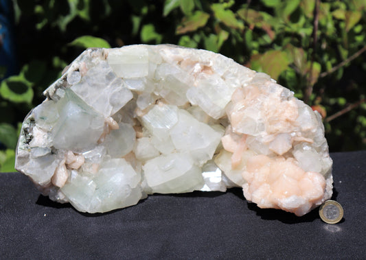 xtra Large Apophyllite & Stilbite Zeolite Crystal