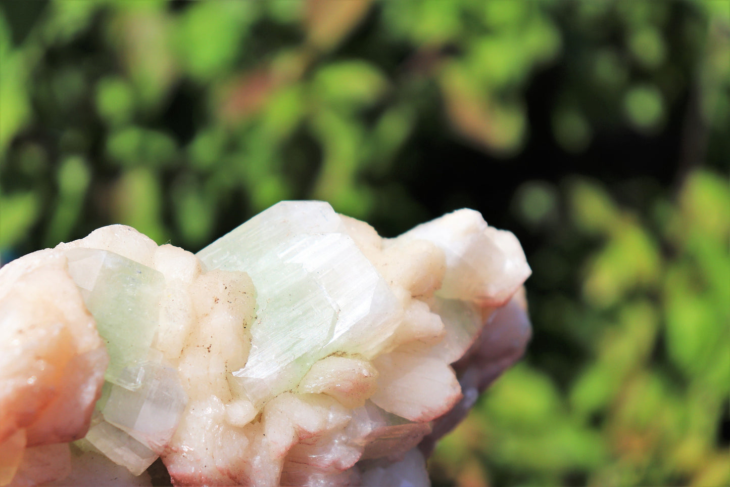 15) Extra Large Stilbite  & Apophyllite Zeolite Crystal  - India  2 KG