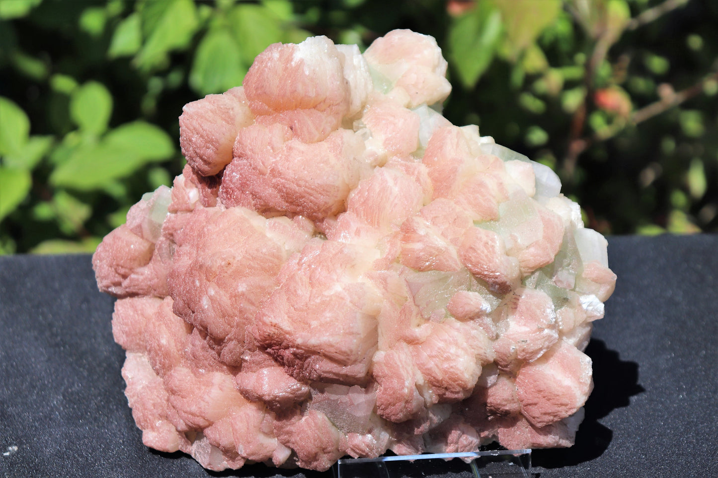 15) Extra Large Stilbite  & Apophyllite Zeolite Crystal  - India  2 KG