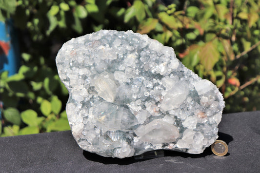  Extra Large Apophyllite Zeolite Crystal