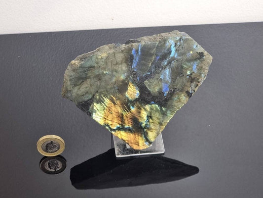 11LH) Labradorite Crystal Half Polished Slice