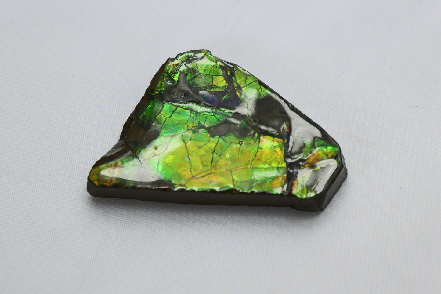 11) Natural Ammolite Gemstone Canada ~ Mineral Ammonite Fossil Crystal