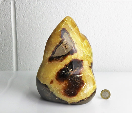 34) Large Septarian Yellow Calcite Crystal