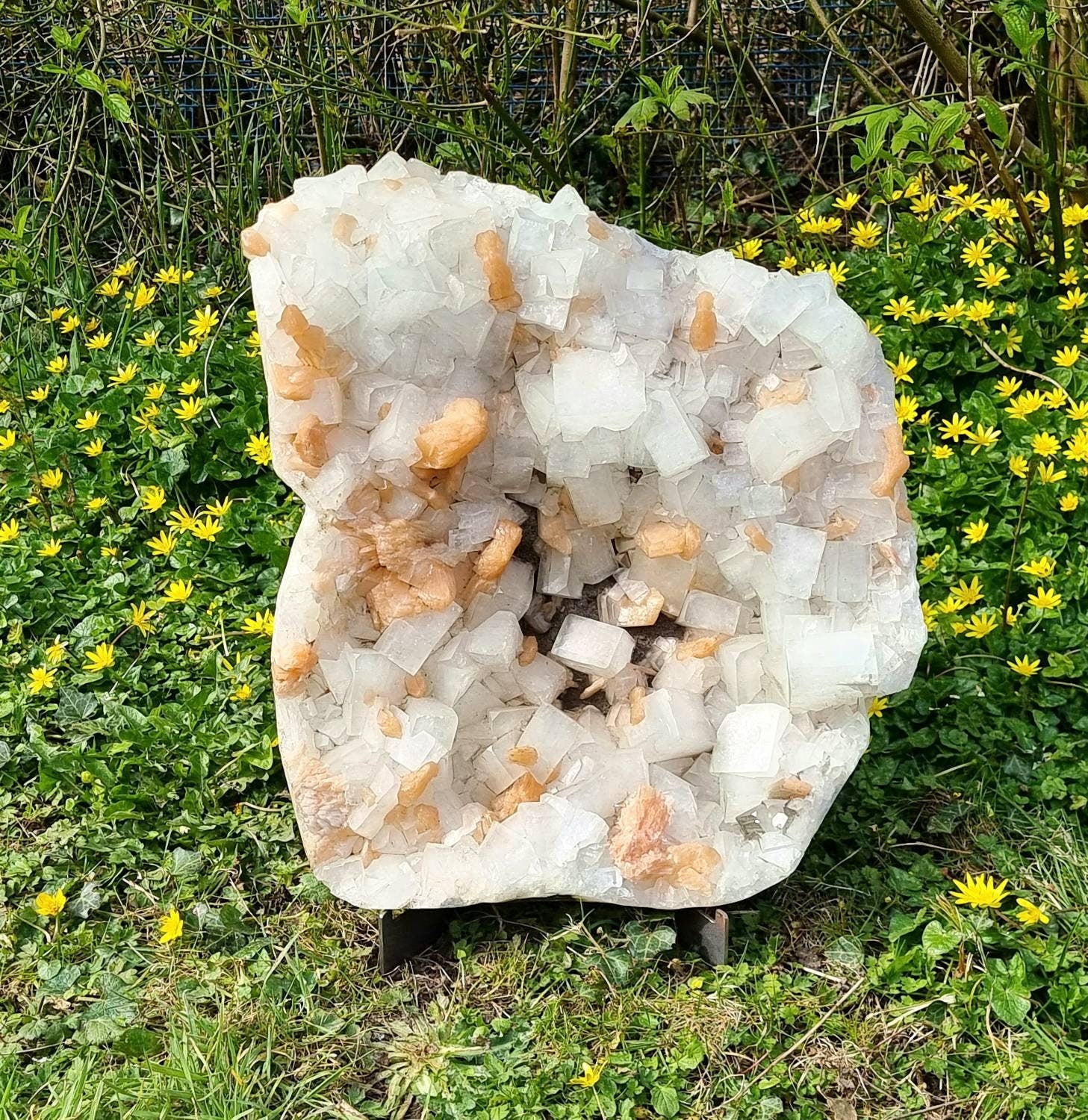  Very Large Apophyllite & Stilbite Zeolite Crystal 23.8 KG