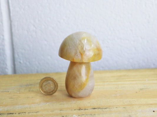 5) Golden Healer Quartz Crystal Mushroom Carving