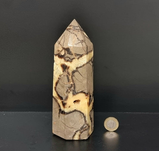 8) Large Septarian Crystal Prism