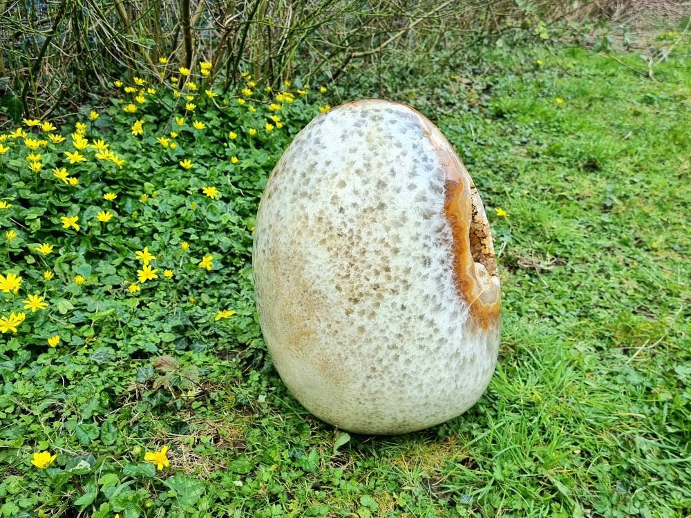 Very large Carnelian Crystal Geode Egg 42 KG