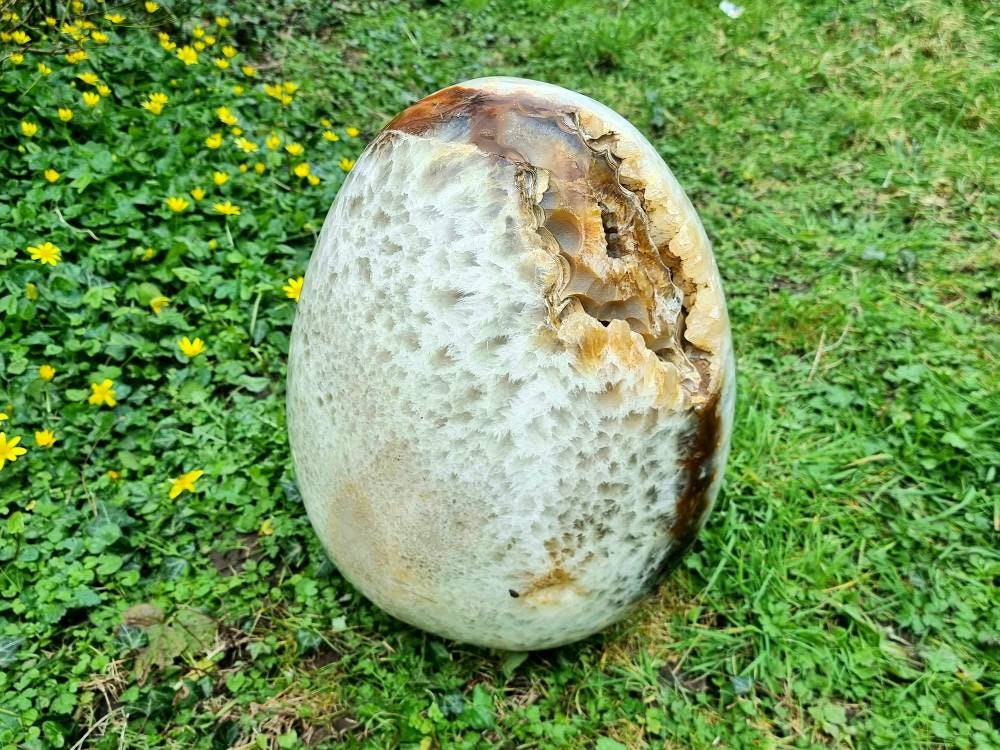 Very large Carnelian Crystal Geode Egg 42 KG