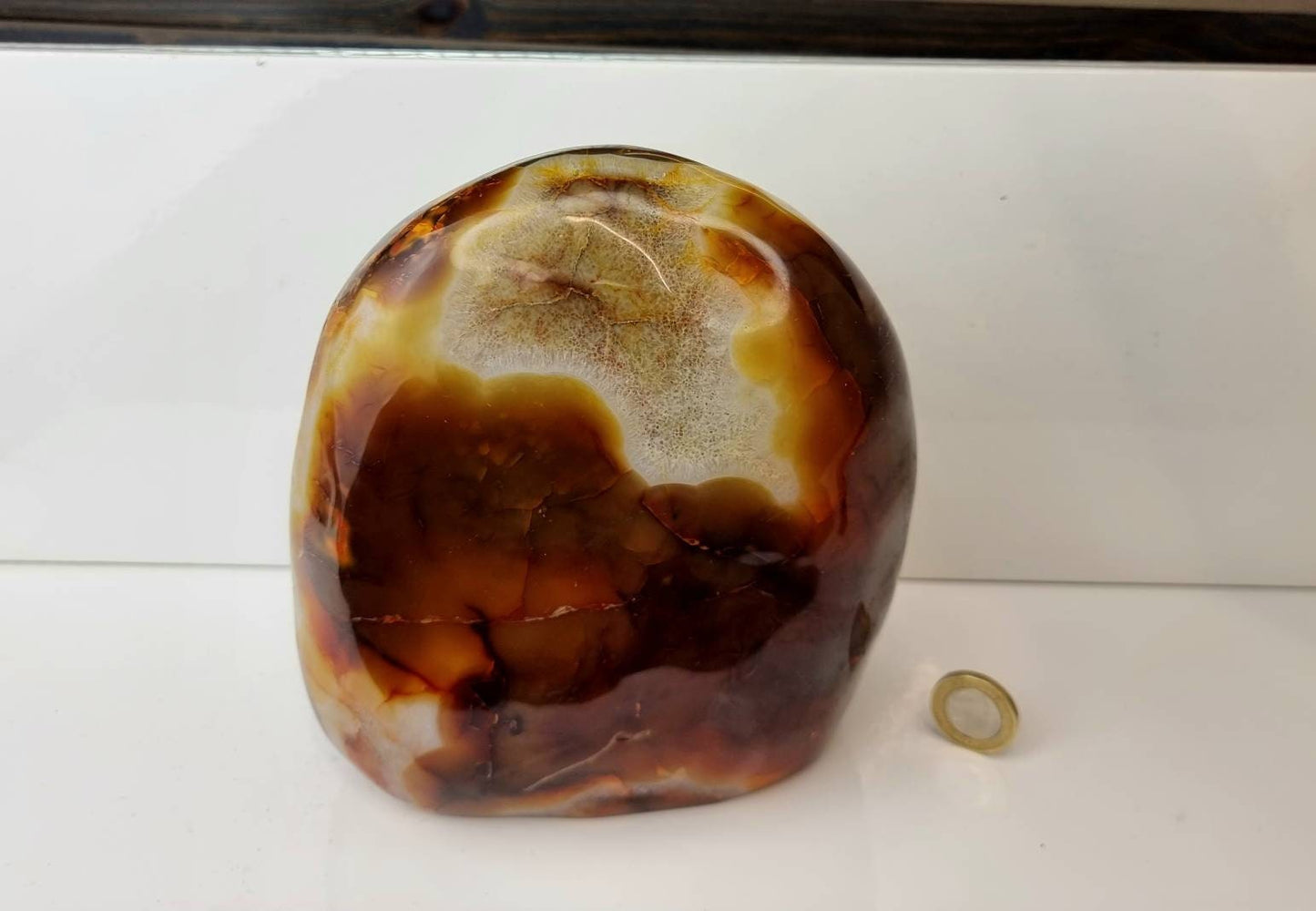 Extra large Carnelian Crystal Freeform