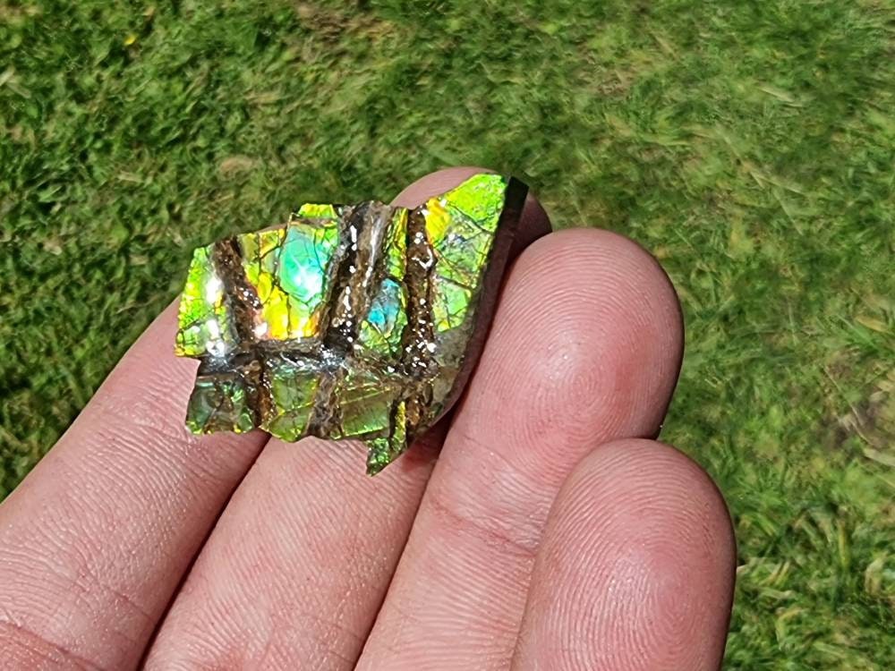  Large Ammolite Crystal Gemstone rare unique