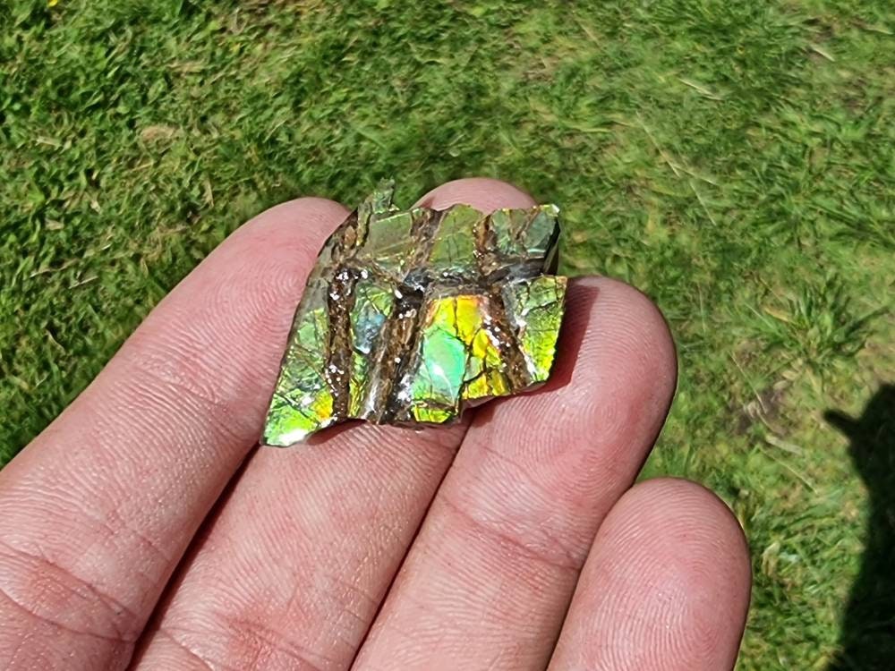 83) Ammolite Crystal Gemstone