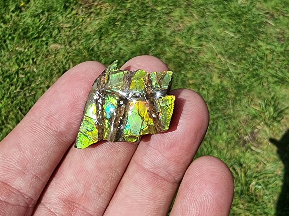 83) Ammolite Crystal Gemstone