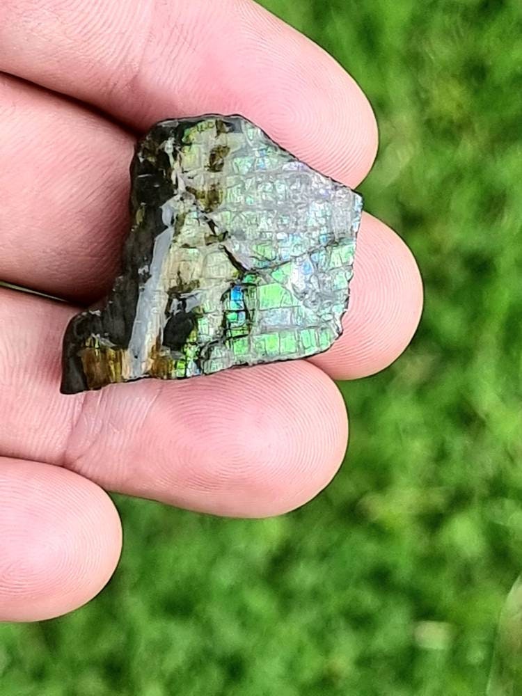  Large Ammolite Crystal Gemstone rare unique